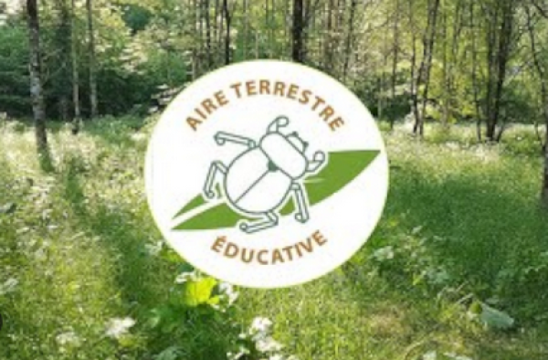 Screenshot_20260429_at_145539_aires_terrestre_ducatives__Recherche_Google.png