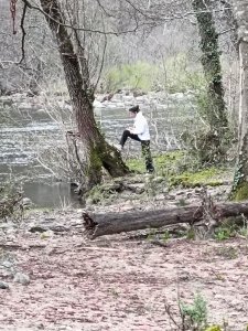 arbre.jpg