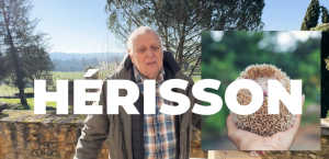 Tuto abri h&eacute;risson
