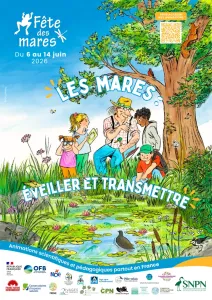 Fêtons les mares