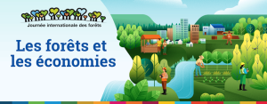Journée internationale de la forêt