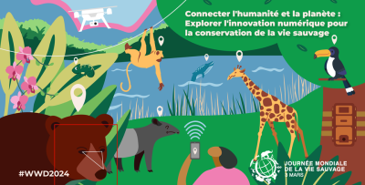 6_World_Wildlife_Day_2024_Official_Poster_ContestFranceTwitter.png