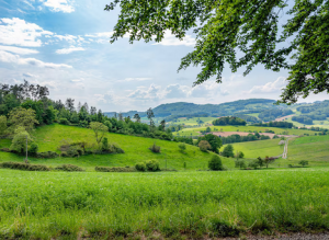 Permanence : Education à la nature et au territoire avec les aires terrestres éducatives ?