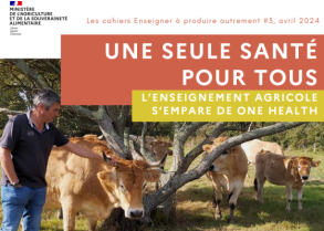 image UneSeuleSantePourTousLEnseignementAgric_imagethumbs_Capture_d039cran_20240429_122522_vignette_600_400_20240429122940_20240429122940.png (0.3MB)